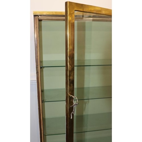 825 - A 19th/20th Century heavy brass and glass display cabinet with single glass door and sides enclosing... 