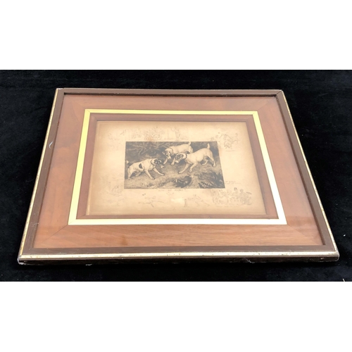 7122 - A print of 3 terrier dogs and a ferret, 