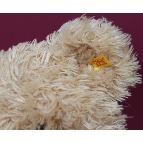 675 - A modern Steiff long haired teddy bear, 43cm high