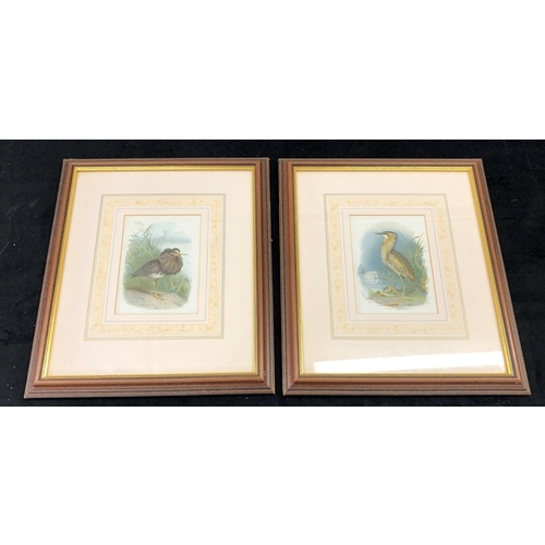 7077 - 2 coloured prints of birds, 10.5 x 15cm in matching frames.