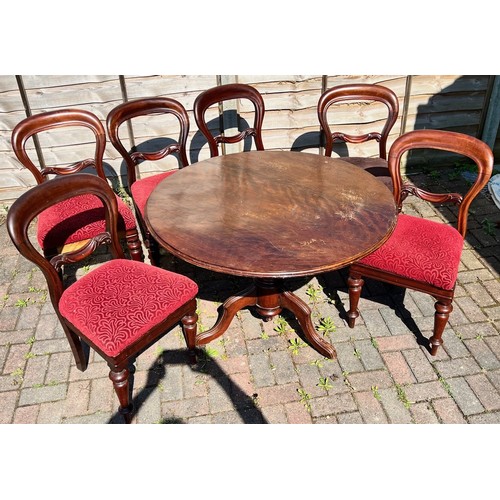 8082 - A set of 6 Victorian mahogany open back single chairs with drop-in seats and a mahogany round table ... 