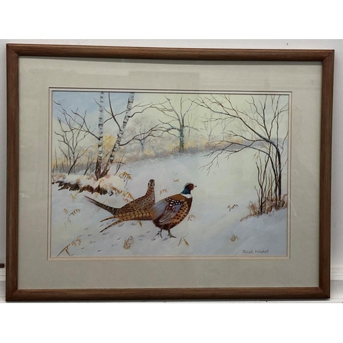 8106 - A gouache depicting a pair of male and female pheasants in woods with snow on the ground, signed Jan... 