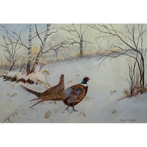 8106 - A gouache depicting a pair of male and female pheasants in woods with snow on the ground, signed Jan... 