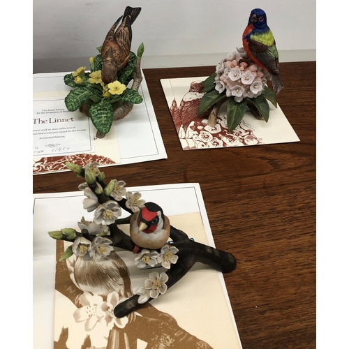 8319 - Franklin Mint  RSPB hand painted bird figures, The Painted Bunting, The European Goldfinch, The Euro... 