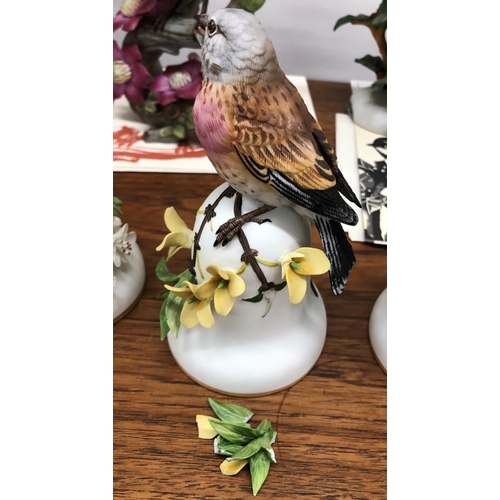 8319 - Franklin Mint  RSPB hand painted bird figures, The Painted Bunting, The European Goldfinch, The Euro... 