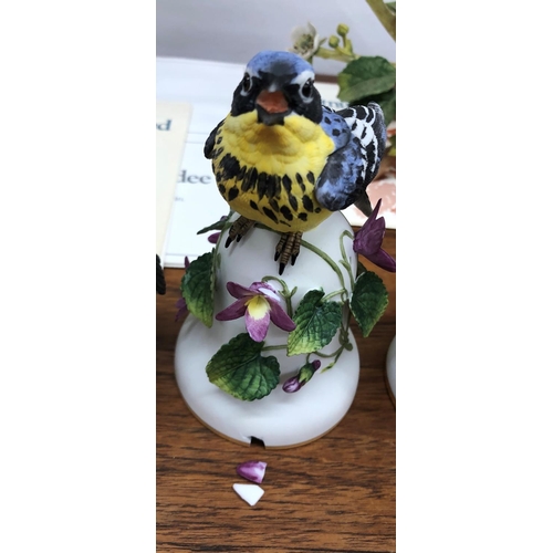 8319 - Franklin Mint  RSPB hand painted bird figures, The Painted Bunting, The European Goldfinch, The Euro... 