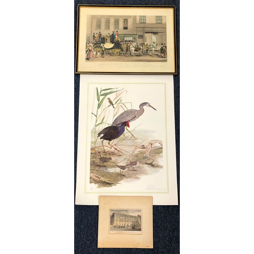 8323 - A limited edition coloured print of birds in a swamp, 371/500, indistinctly signed in pencil, and st... 