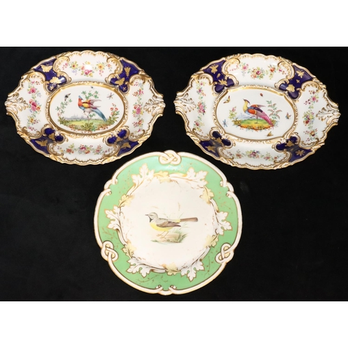 183 - A pair of porcelain oval 2-handled dishes on white and blue ground with multi-coloured exotic bird, ... 