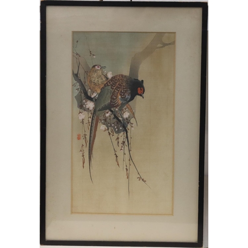 201 - An Oriental watercolour, 32.5cm x 18cm,  depicting 2 perched birds