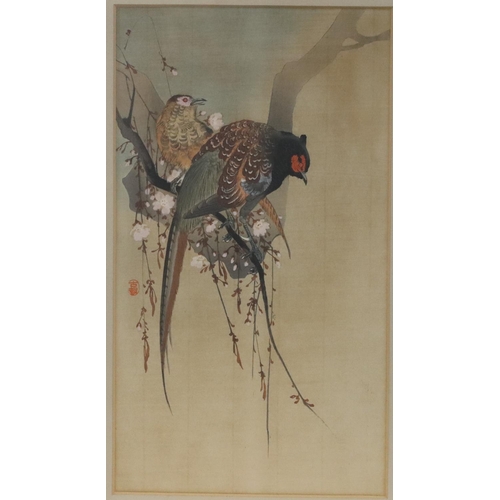 201 - An Oriental watercolour, 32.5cm x 18cm,  depicting 2 perched birds