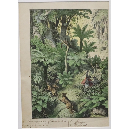 213 - A pair of antique Australian coloured prints, 29cm x 20cm, depicting various animals, both in later ... 