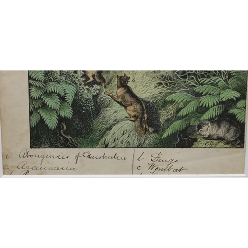 213 - A pair of antique Australian coloured prints, 29cm x 20cm, depicting various animals, both in later ... 