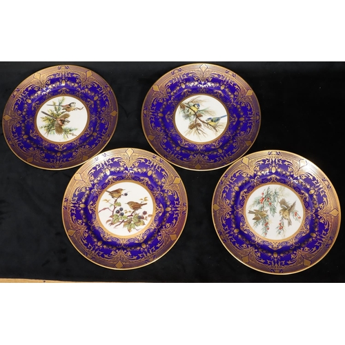 59 - A set of 4 Caverswall china plates on white and blue ground with multi-coloured bird and gilt decora... 