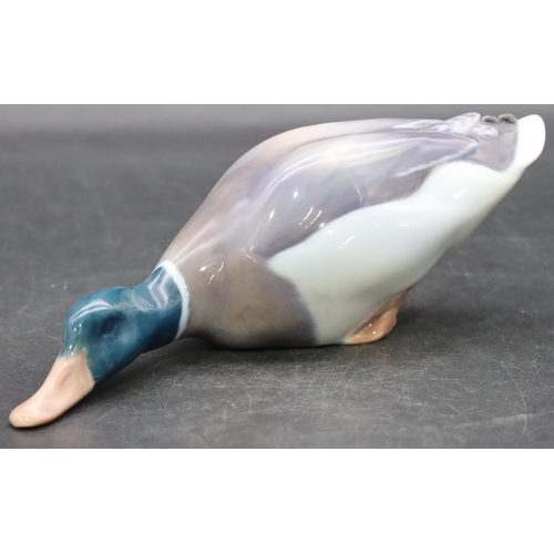 97 - A Royal Copenhagen figure of a Mallard duck, number 120, 18.5cm long