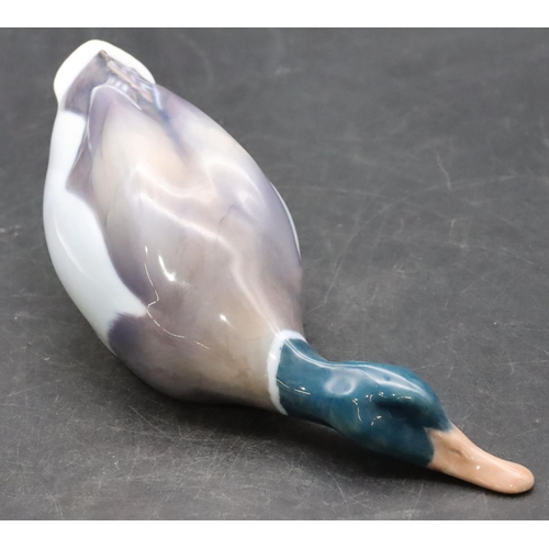 97 - A Royal Copenhagen figure of a Mallard duck, number 120, 18.5cm long