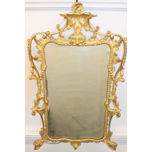 927 - A 19th Century carved giltwood wall mirror with raised animal head, floral, leaf and scroll decorati... 