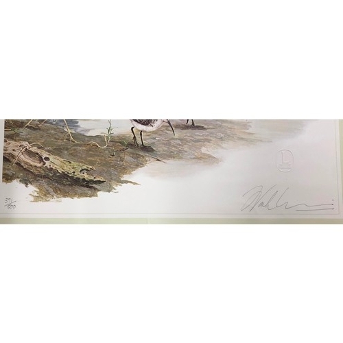 8323 - A limited edition coloured print of birds in a swamp, 371/500, indistinctly signed in pencil, and st... 