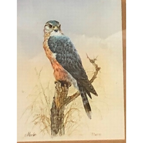 9077 - A print of a bird of prey, 20.5 x 15.5cm in wood frame, a wool tapestry of 2 parrots, 58 x 44.5cm, f... 