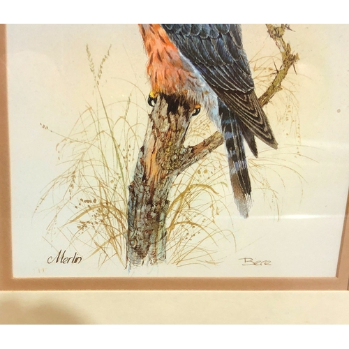 9077 - A print of a bird of prey, 20.5 x 15.5cm in wood frame, a wool tapestry of 2 parrots, 58 x 44.5cm, f... 