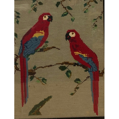 9077 - A print of a bird of prey, 20.5 x 15.5cm in wood frame, a wool tapestry of 2 parrots, 58 x 44.5cm, f... 