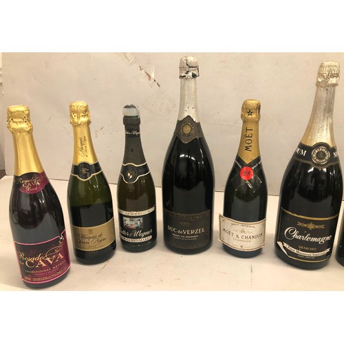 9165 - A Moet & Chandon bottle of champagne and 9 various champagne and Cava bottles