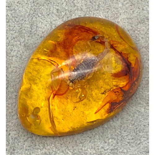 9248 - An amber resin nugget with small scorpion insect, 5.6cm long