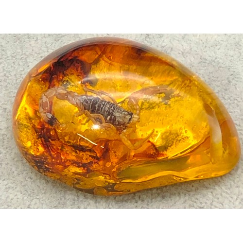 9248 - An amber resin nugget with small scorpion insect, 5.6cm long