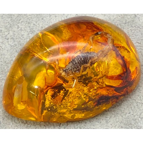 9248 - An amber resin nugget with small scorpion insect, 5.6cm long