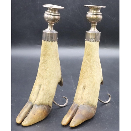 195 - A pair of Edward VII silver mounted hoof candlesticks, London 1907, 25cm high