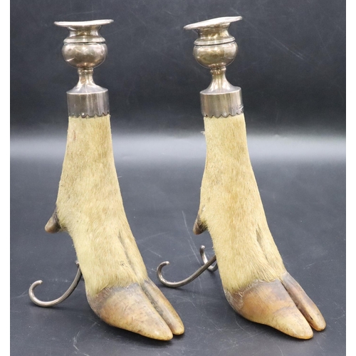 195 - A pair of Edward VII silver mounted hoof candlesticks, London 1907, 25cm high