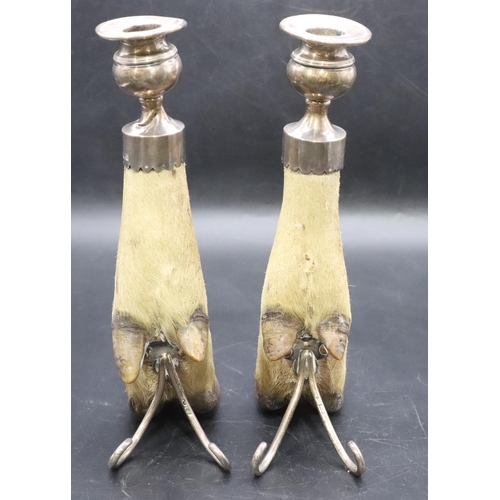 195 - A pair of Edward VII silver mounted hoof candlesticks, London 1907, 25cm high