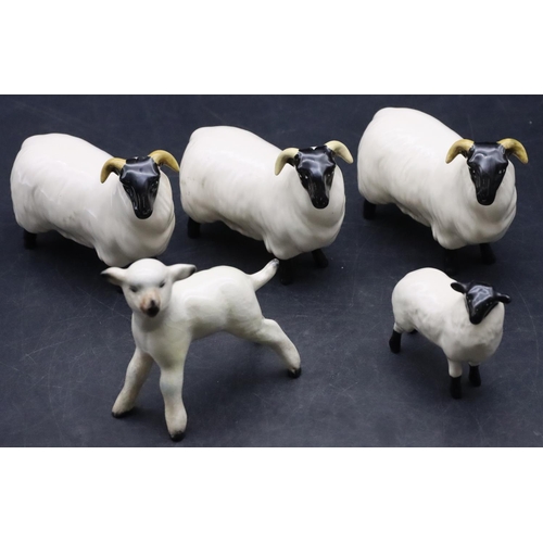 39 - 4 various Beswick figures of sheep and lambs and another similar Beswick lamb (5)