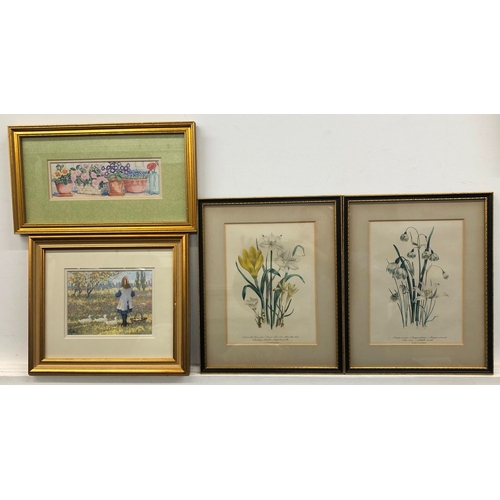 1047 - 4 various framed prints.