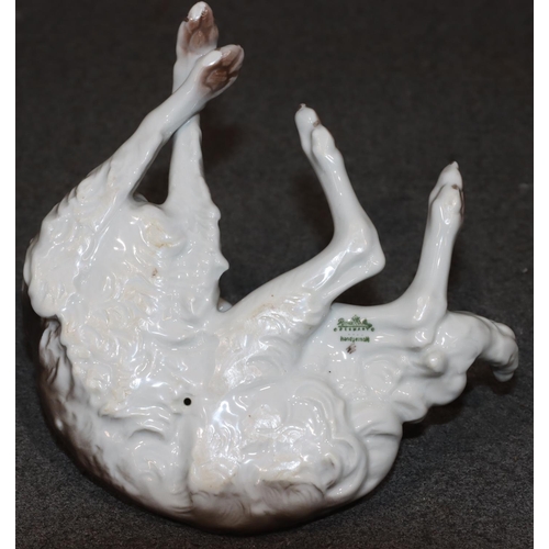 95 - A Rosenthal china figure of a resting dog on white and brown ground, 14cm wide, 9.5cm high