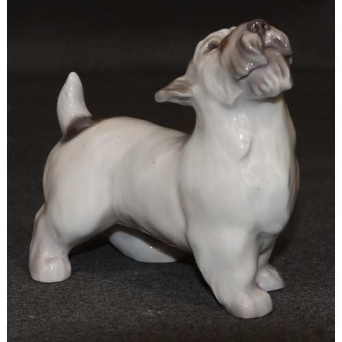 99 - A Copenhagen figure of a Terrier, 13cm high, 14cm long