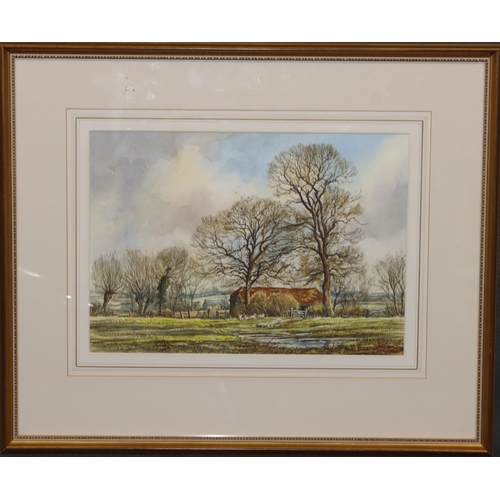 205 - Edward Stamp, watercolour, 25.5cm x 36cm, depicting sheep in landscape 