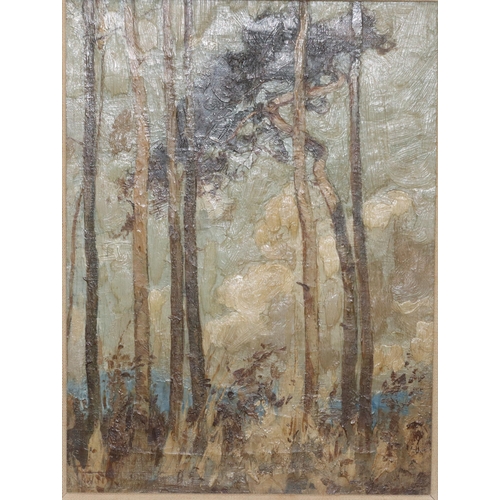 229 - Frederick Hayden, oil on canvas, 29cm x 21.5cm, depicting woodland, indistinctly signed and labelled... 