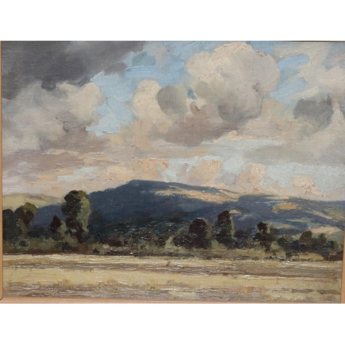 230 - Frederick Hayden (1874 - 1931), oil on board, 19.5cm x 24.5cm, depicting open landscape with trees a... 