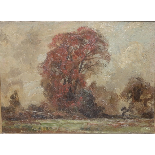 232 - Frederick Hayden (1874 - 1931), oil on board, 14.5cm x 195cm, depicting wooded landscape, unsigned b... 