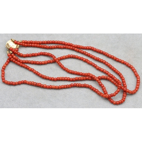 559 - An antique coral 3-row choker necklace with gold clasp and further centre coral motif, 41cm long