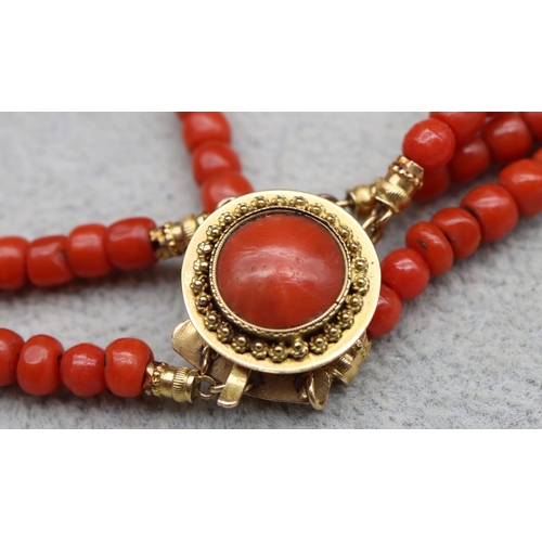 559 - An antique coral 3-row choker necklace with gold clasp and further centre coral motif, 41cm long