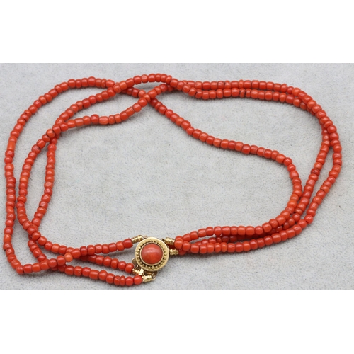 559 - An antique coral 3-row choker necklace with gold clasp and further centre coral motif, 41cm long