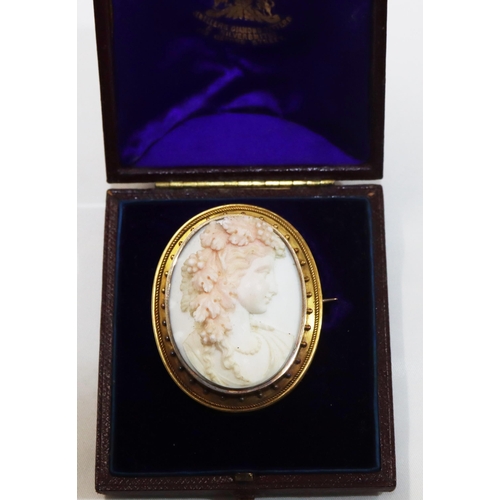 707 - A Conch Shell oval cameo with raised carved shoulder length portrait of a young lady with grape and ... 