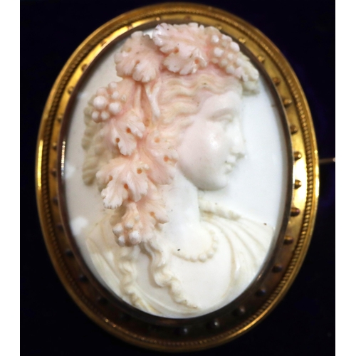 707 - A Conch Shell oval cameo with raised carved shoulder length portrait of a young lady with grape and ... 