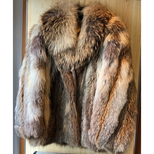 1418 - An Arctic fox short fur coat, approx. size 12, 76cm long, sleeves, 62cm long to shoulder (some spots... 