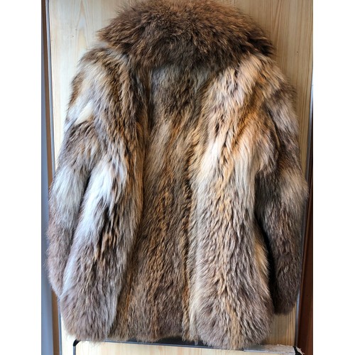 1418 - An Arctic fox short fur coat, approx. size 12, 76cm long, sleeves, 62cm long to shoulder (some spots... 