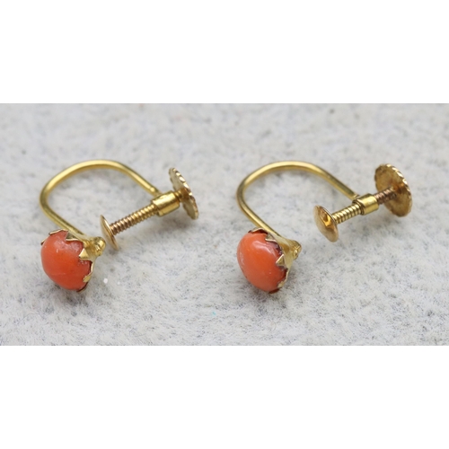 557 - A pair of 9ct gold coral earrings with screw backs, 0.9 grams gross (boxed)