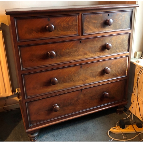 2095 - A mahogany straight front chest of drawers on bun feet, 119cm wide, 56.5cm deep, 115.5cm high, (shad... 