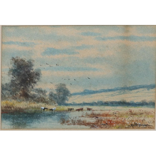 182 - A Hulk, small watercolour, 16.5cm x 24cm, depicting cattle standing in stream with open landscape, s... 