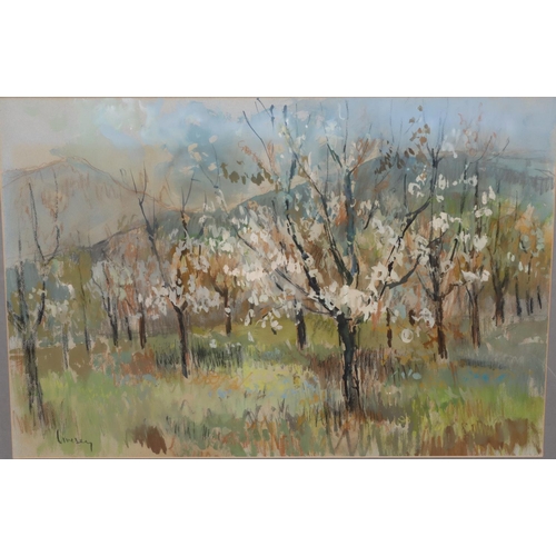 188 - John Livesey, watercolour and crayon, 50cm x 73cm, depicting blossoming orchard, signed, in gilt fra... 